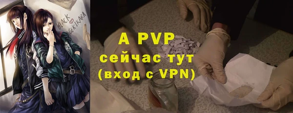 PSILOCYBIN Каменск-Шахтинский