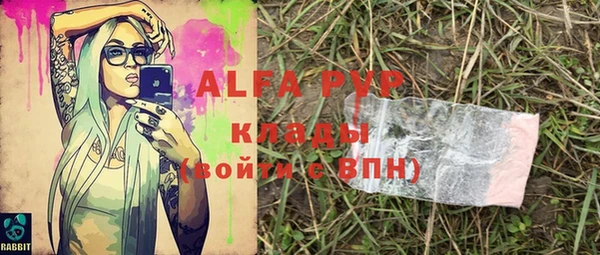 PSILOCYBIN Каменск-Шахтинский