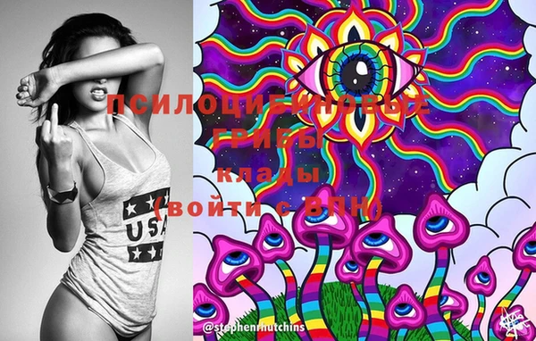 PSILOCYBIN Каменск-Шахтинский