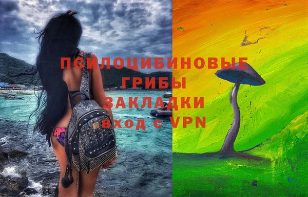 мяу мяу мука Каменногорск