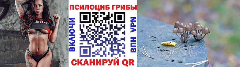 Галлюциногенные грибы Cubensis  наркошоп  blacksprut   Чайковский 
