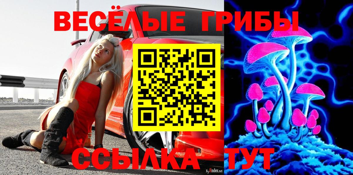 ГАШИШ  Чайковский  Бошки Шишки  Кокаин  Мефедрон   Вход с VPN 
