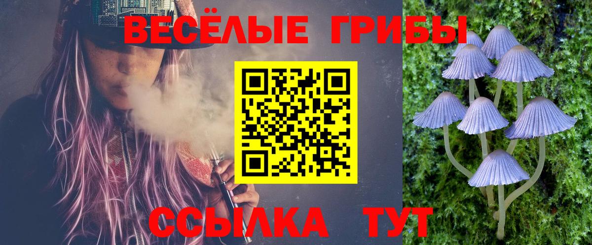 Чайковский  Псилоцибиновые грибы Psilocybine cubensis  где найти   Вход с VPN 