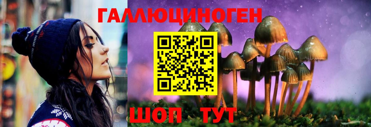 Галлюциногенные грибы ЛСД Чайковский