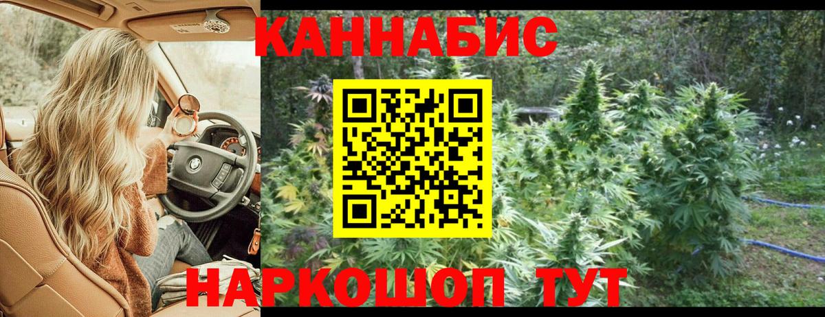 Каннабис OG Kush  Чайковский  МАРИХУАНА семена  Шишки марихуана White Widow 